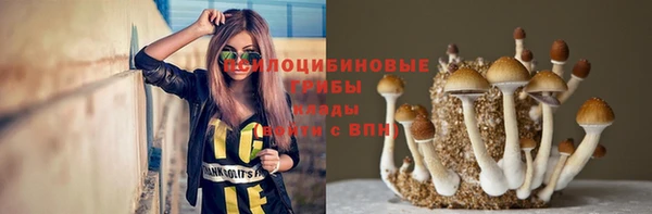 дживик Волоколамск