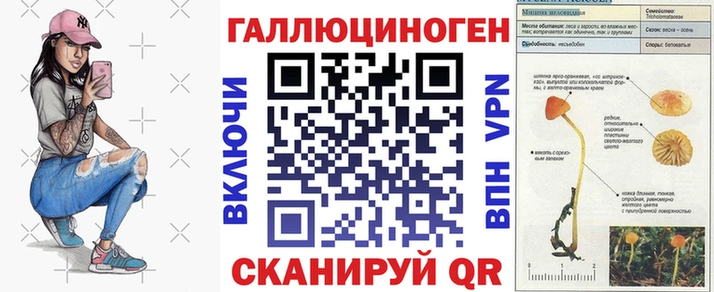 что такое   ОМГ ОМГ ссылка  Псилоцибиновые грибы Psilocybe  Чишмы 
